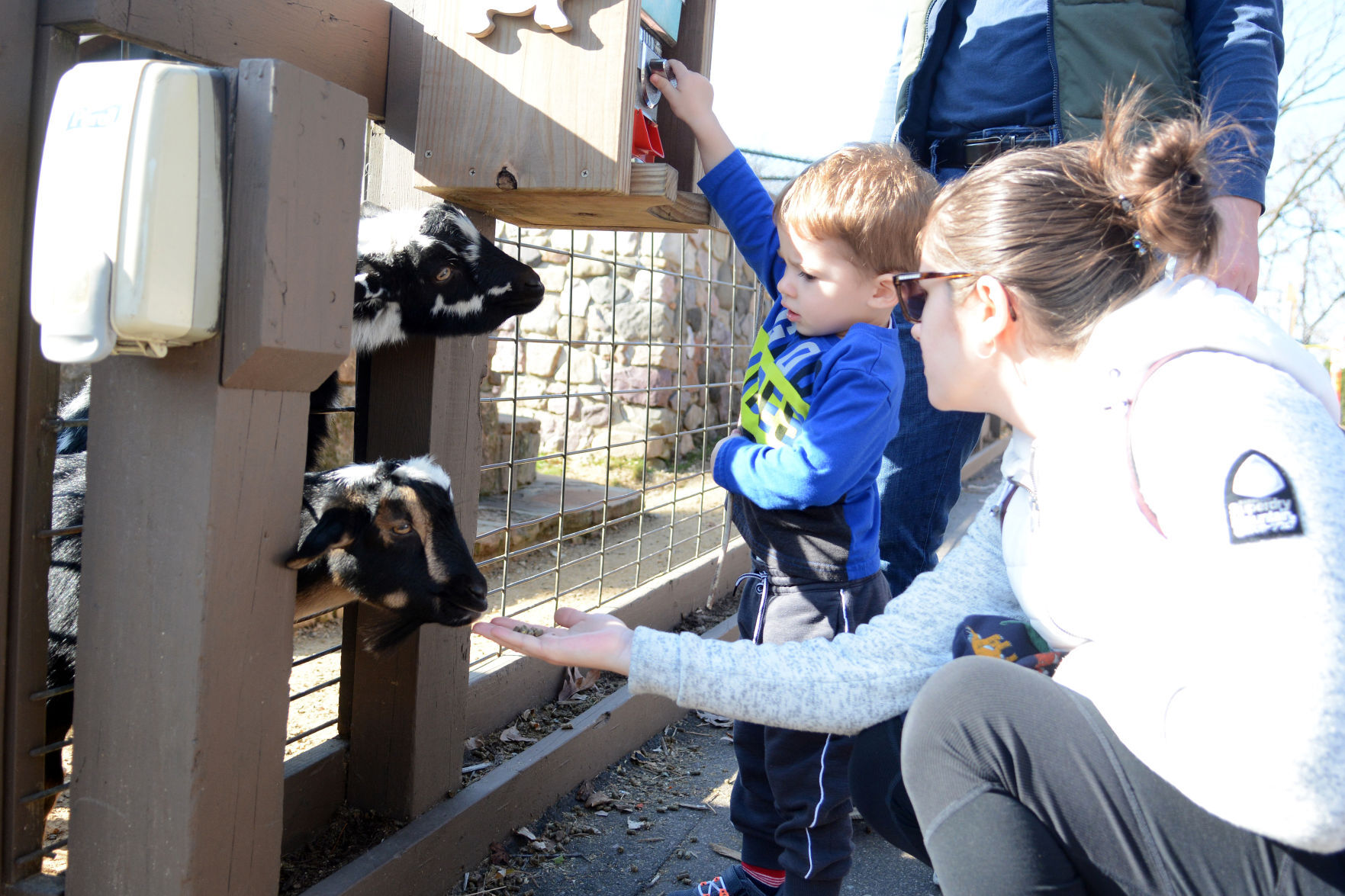 Scenes from Baraboo's Ochsner Park Zoo, Nov. 7, 2020